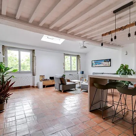 Le Quai Duplex Prive Apartment Lyon