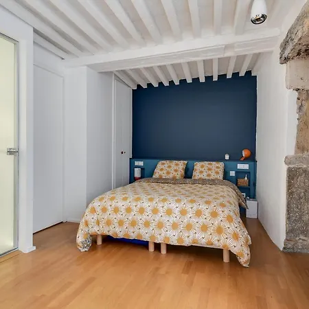 Le Quai Duplex Prive Apartment *